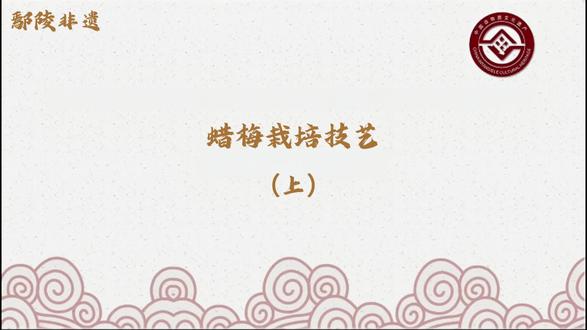 鄢陵非遗:蜡梅栽培技艺(上) 蜡梅栽培技艺是流布于鄢陵县的一项传统花木栽培技艺,在鄢陵已有上千年的种植历史,始于唐、兴于宋,其栽培技艺传承悠久。
其核心区在鄢陵县柏梁、陈店、大马等地,并辐射至全县境内。该地属温暖带季风型气候,四季分明,光照充足,季节交替明显,是“南花北移、北花南迁”的天然驯化基地,素有“花都”、“花乡”的美称。1985年蜡梅被认定为鄢陵县的“县花”,系鄢陵县的标志性花卉,以“品质优、蜡质厚、香味悠长”而著名,素有“鄢陵蜡梅冠天下”之美誉。
栽培技艺主要有: 播种、分株、扦插、嫁接等;整形技艺类型有:杯状型、主干型、自然型、灌丛型等。蜡梅先花后叶,在当年生枝上开花。元月(农历腊月)至翌年3月开放,花期绽放长,蜡香浓郁,适宜于春节期间观赏。蜡梅耐寒耐旱,土壤适应性较强,对石灰岩土壤具有较强的适应能力,并适宜于沟坎道旁栽种。蜡梅的栽培有一套完整的技艺,在不同的物候条件下,具有不同的培植方法。蜡梅的根、籽、花具有一定的药用价值。
该项目已由过去的家族传承而延伸为师徒传承。
在千年的栽培历史中逐步形成了独有的栽培技艺和蜡梅文化元素,它丰富了鄢陵地方文化,同时也对鄢陵的历史文化的发展起到潜移默化的作用,有着重要的文化、科学和历史价值。
2023年被许昌市人民政府列入许昌市非物质文化遗产代表性名录。