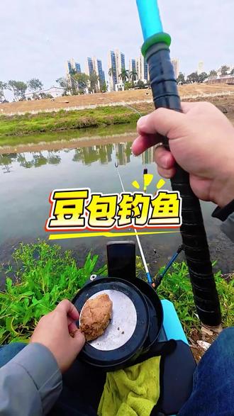 豆包钓鱼 当钓鱼用上了AI会有什么效果?#豆包钓鱼 #钓鱼才是抖音运动顶流 #冻饵钓罗非