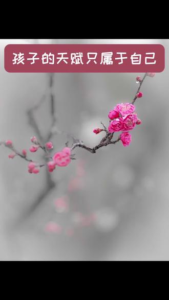 刘美贤夺冠——孩子的天赋属于自己 这是有感而发于花滑天才少女刘美贤在16岁退役,然后19岁付出后11个月拿了团体和个人金牌。仔细看了她的一些访谈,让我看到了一个正常的有顶级天赋的孩子的父亲,是怎样去呵护和珍惜自己的孩子。
首先第一点是不遗余力和代价的陪伴,无论是行程的安排还是教练的选择,都亲自上手。以至于最后陪伴孩子打进决赛的2个教练,一个被他开过一次一个被他开过3次,这是一个多么强势的父亲;
第二点,当孩子16岁时候决定退役,那个时候基本等于这个家庭前些年的付出要打水漂了。但是父亲没有强压她继续训练,回报自己和家庭,而是选择放手。于是刘美贤第一次可以按照自己的意愿过了正常人的生活,上了很好的公立大学学心理;
第三点,当孩子休了2年决定重新回到冰场,并且不允许父亲再介入自己的训练,孩子自己找回了当年被父亲开掉的教练,自己选择音乐和表演服,自己按照自己的节奏制定日程和计划,最后个人赛的现场,父亲带着全家飞到米兰现场助威,顺利夺冠。
这个看似简短的过程,描绘了一个老父亲如何珍视呵护孩子的顶级天赋,最关键的是,他认同这个天赋属于孩子自己,她可以自己决定一切。