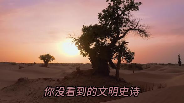 我们被骗了几千年!中华文明根本不是单一文明 #打破你对中国历史的认知误区
中原、草原、高原、西域、海洋,五大板块共同塑造了中华文明,没有谁同化谁,我们是真正的文明共同体!
看完你会明白,为什么只有中国文明能延续5000年。