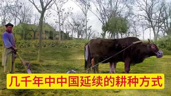几千年中中国延续的耕种方式 几千年中中国延续的耕种方式