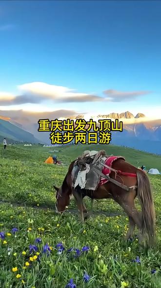 重庆往返九顶山徒步两天一晚攻略来啦! #九顶山 #重庆周边游 #徒步旅行 #创作灵感 #九顶山花海
