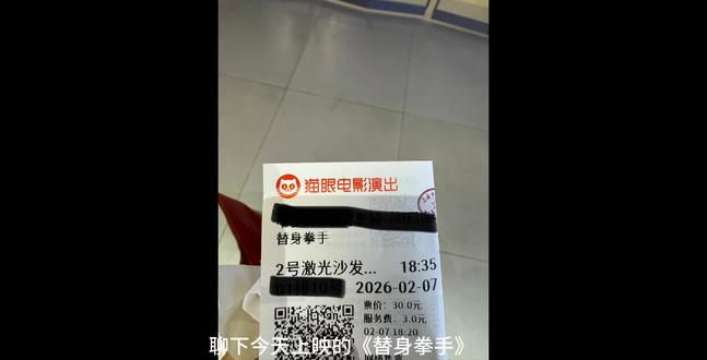 替身拳手 剧情bug问题大 不推荐