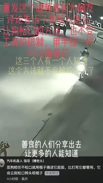 恶狗咬人如何让狗松口,全网最佳方法 狗撕咬小姐姐几分钟三个人没办法#狗狗 #狗咬人事件