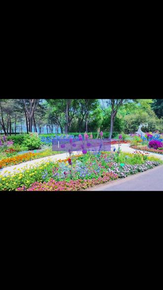 公园采风VLOG #手绘 #手帐 #孔雀 #交换你镜头里的夏天