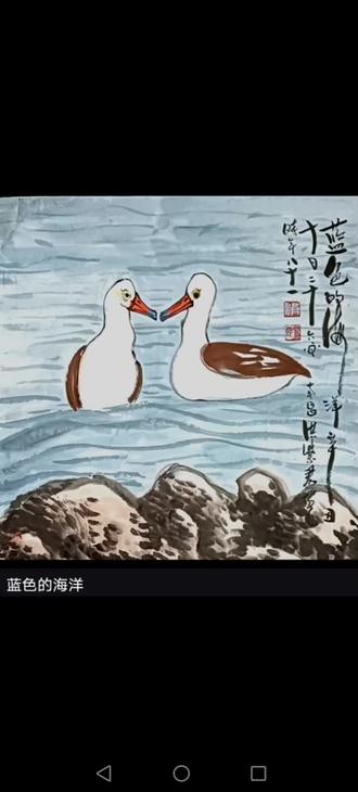 洪紫君百鸟画集(信天翁)