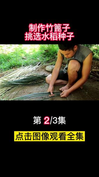 野外生存小哥制作水稻,徒手编制竹篦子,手艺堪比匠人!#荒野求生 #野外生存 #原始技术