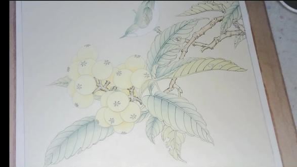 临摹宋画小品《枇杷绣羽图》染色进行中