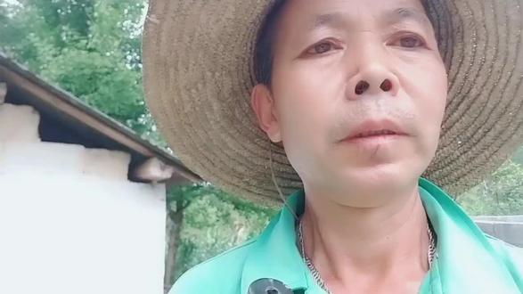 农村常见的一种菌子,我们叫它剥皮菌,最好吃