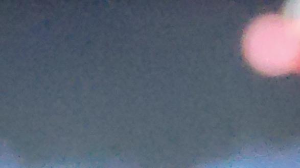 花豹偷袭山羊,一击必杀,