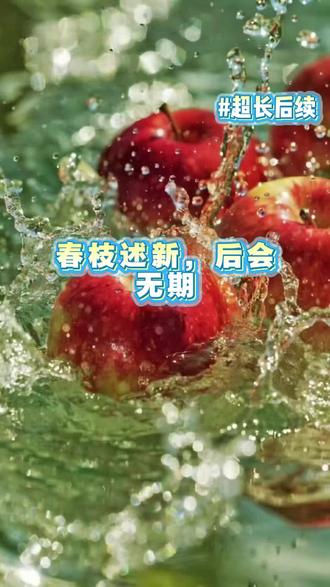 《春枝述新,后会无期》#精彩后续 #拯救书荒#全文已完结