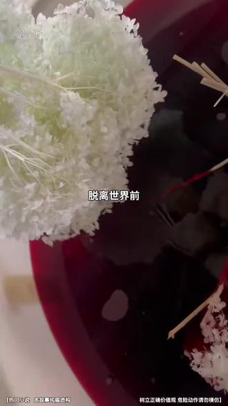 摸鱼必看!1集5分钟,上班间隙能追3集