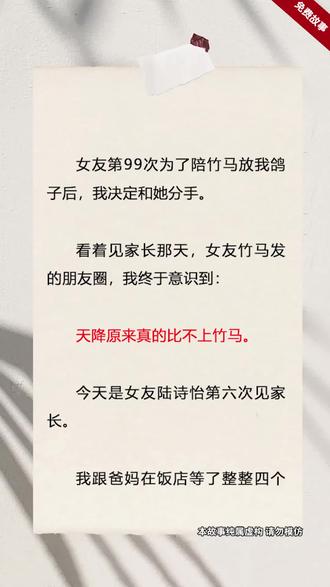 女友不见家长,我换人结婚 (15)