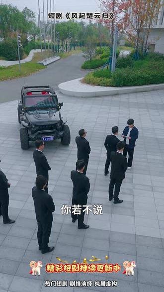 超好看短剧推荐##百亿剧好看#风起楚云归