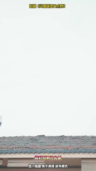 (高分热剧推荐)#Y#闪婚甜妻有点野