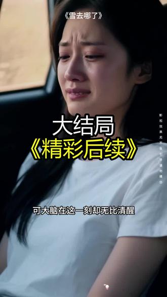 《雪去哪了》精彩后续大结局,完整版