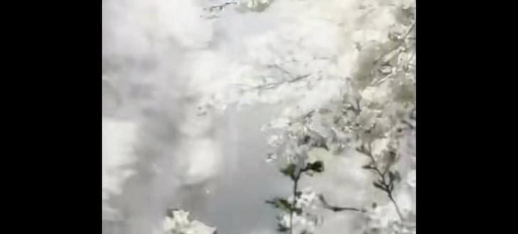 第一次剪辑,有点生疏。#新撰组异闻录