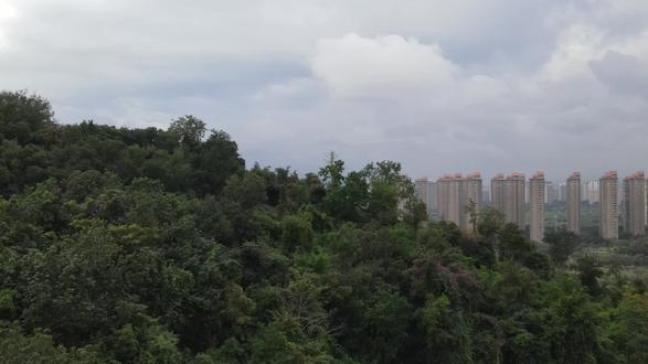 澜沧江与流沙河交汇处是美丽的西双版纳