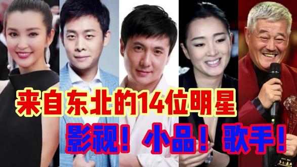 来自东北的14位明星,李冰冰张译沈腾赵本山,你知道还有那些吗? #东北出过哪些名人