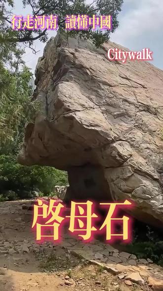一个古老的神话和传世建筑 在那远古洪荒的岁月里,大禹,这位不朽的英雄,以无畏之姿踏上了治理滔天洪水的征途。为了加快进度,大禹化身为黄熊拱山,不想惊了来送食,已近分娩妻涂山娇,气急交加而变成了一块大石头。大禹思子心切,对着大石高喊:“还我儿子,还我儿子。”声音刚落,“轰隆”一声巨响,巨石崩裂,他的儿子“启”从石缝中跳了出来,载着家族的希望与治水事业的延续。从此,“启母石”成为了这段爱情与牺牲的永恒见证,矗立在嵩山之巅,诉说着不朽的传奇。启,后为夏朝第二位君王。
西汉时,人们在此修建了启母庙。东汉时,人们又在庙前修建了启母阙。
唐代,武则天封禅嵩山时,封启为齐圣皇帝,封启母为玉京太后。
近2000年前的启母阙奇迹般地保存下来,阙上的浮雕今天仍然清晰可辨,有鲧画像、大禹化熊、启母化石等,其中女子蹴鞠图是足球起源于中国的重要实物证据,阙上面的铭文里,对鲧、禹的治水和涂山氏的功绩都有叙述。
在各地的博物馆、徐州汉墓等地见过不少汉代的雕刻,但登封的三阙是地面建筑,难怪是国家文保第一号。
感谢河南同学的周到安排和Yangyi同学的陪同参观。
#游学之旅# #行走河南读懂中国# #神话# #大禹# #古建##Citywalk#