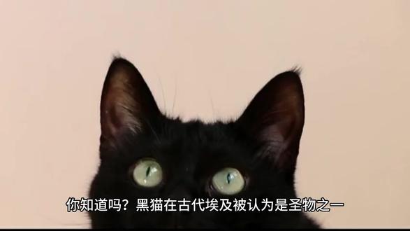 古埃及的圣物#知识 #冷知识