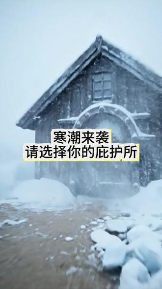 寒潮来袭,请选择你的庇护所 #十二星座 #庇护所 #解压 #北极熊口音 #ai
