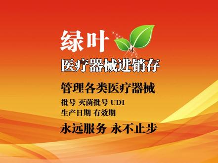 绿叶医疗器械进销存_001