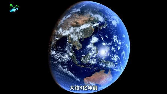 探秘乐业大石围天坑:自然之力的千年烙印