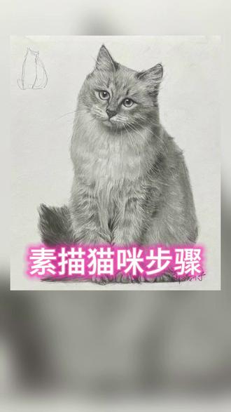 素描猫咪这样画出毛发效果