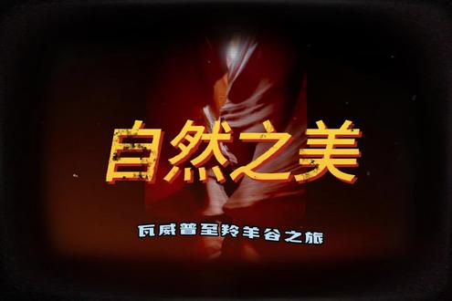 美国西部旅游(第七集)