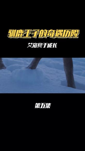 艾洛:驯鹿王子的极地冒险之旅 #驯鹿 #治愈系风景 #冰天雪地 #每一帧都是热爱 #视觉震撼 #旅行