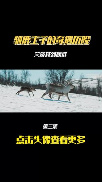 艾洛:驯鹿王子的极地冒险之旅 #小鹿🦌 #驯鹿 #每一帧都是热爱 #治愈系 #旅行 #雪景