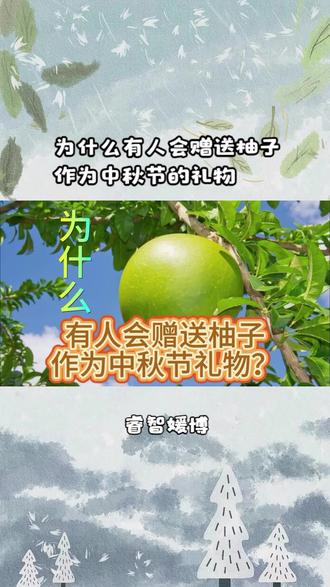 为什么有人会赠送柚子作为中秋节的礼物? #中秋 #柚子 #礼物