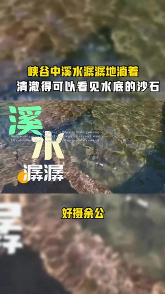 峡谷中溪水潺潺,清澈得可以看见水底的沙石#山间小溪 #冰臼 #摄影师日常 #亲子游 #周边游 #小众景点