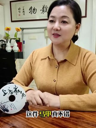 【宁一女装】春秋新品百搭洋气时尚马甲V领棉线不起球口袋文艺清新