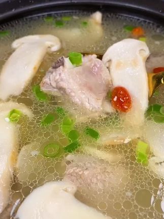 正宗云南特产菌菇香格里拉新鲜松茸现货未开伞500g食用菌顺丰空运