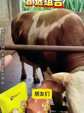 难怪养殖场的牛,上膘快,背宽屁股大,原来都在用#爱畜优肥壮膘灵+爱畜优胃消食健组合装