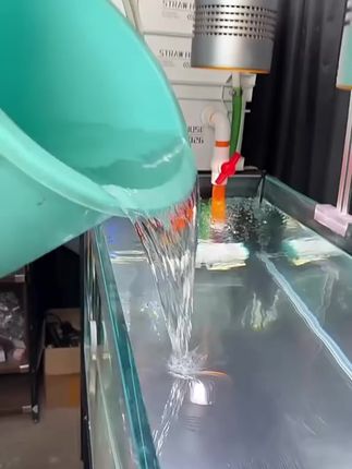 自来水养鱼不像麻烦的困水晒水除氯,就用鱼乐宝,它可以自动除氯免困水,养鱼轻松换水更方便