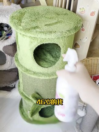 我家真的一点猫味都没有。这款生物酶除 臭喷雾大家真的可以试一下#新手养猫 #萌宠好物 #除 臭喷雾