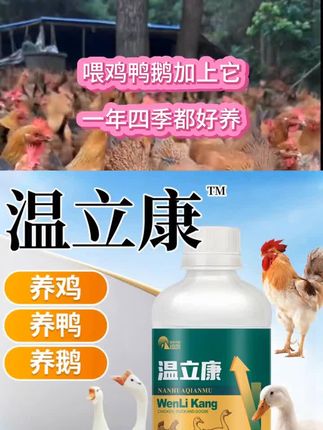 养鸡小妙招 养鸡有办法