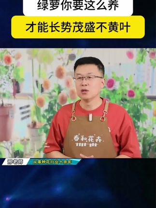 好用又便宜的#营养液来了,只要浇上一点,花开一茬又一茬!