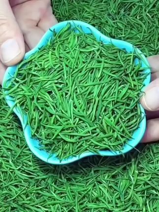 2025正宗明前雀舌绿茶明前新茶贵州高山嫩芽浓香型春茶【全芽】