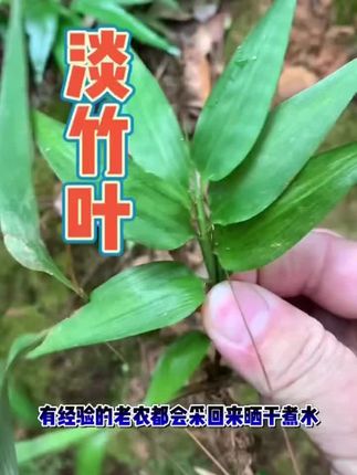 科学搭配,清润滋补