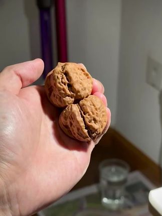 正宗精品老树延庆蛤蟆头核桃文玩金蟾狮子头闷尖有腿有眼开背呱呱蛤蟆头核桃精品配对