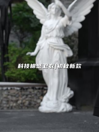 这款卫衣穿上特别显老钱#品质男装#秋冬新款#穿出高级感#男士必备