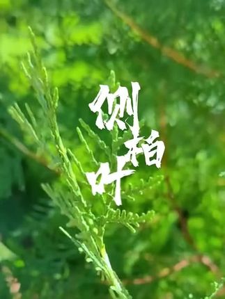 精选滋补养生,传统古法