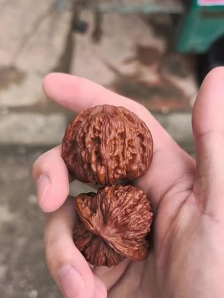原皮文玩核桃高抛精品四座楼狮子头麒麟纹盘玩官帽核桃手把件核桃