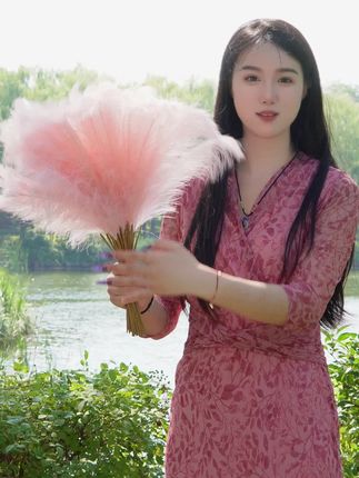 【今日福利价】一支不到一块钱!一束仿真芦苇花,装饰您的家,让您的空间更有格调#仿真花 #仿真芦苇 #芦苇花 #花千寻