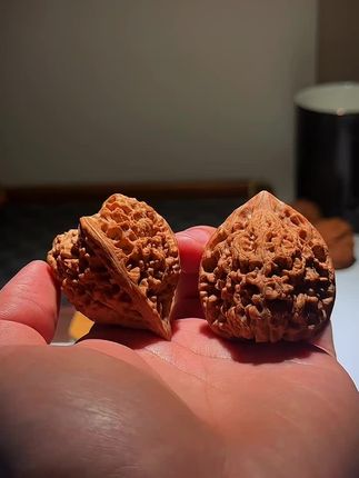 手心里的收藏品,核桃爱好者必备! 今年新果大尺寸肉纹官帽,链接咨询#民间手艺 #盘核桃 #文玩核桃打底 #手把件 #文玩核桃