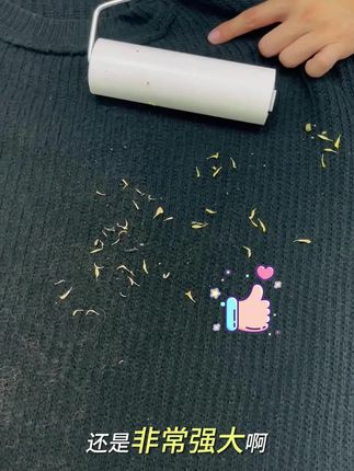 老公买的粘毛器太好用了!粘毛器也太好用了吧!